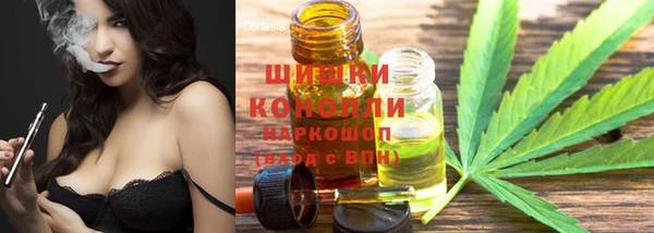 ECSTASY Богородицк