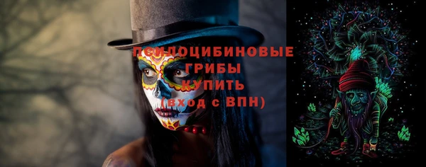 ECSTASY Богородицк