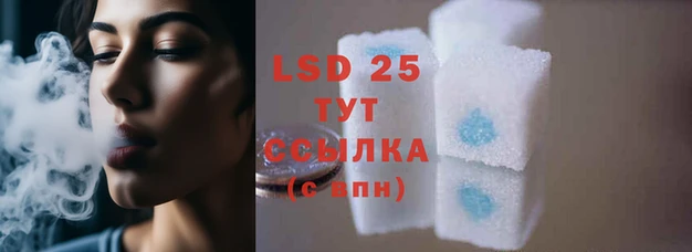 ECSTASY Богородицк