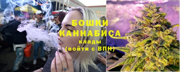 шишки Богородск