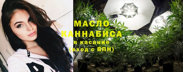 ECSTASY Богородицк