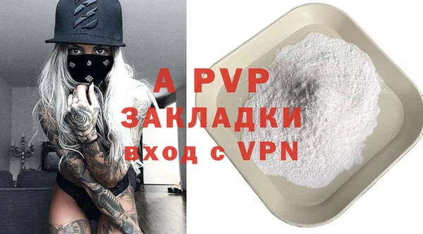 ECSTASY Богородицк