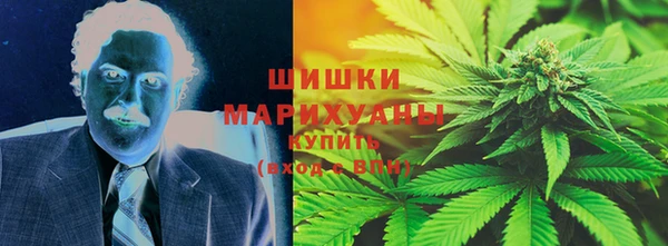 ECSTASY Богородицк