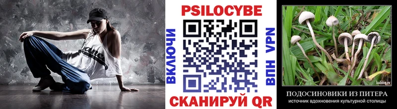 Купить  Купино  Псилоцибиновые грибы Magic Shrooms 